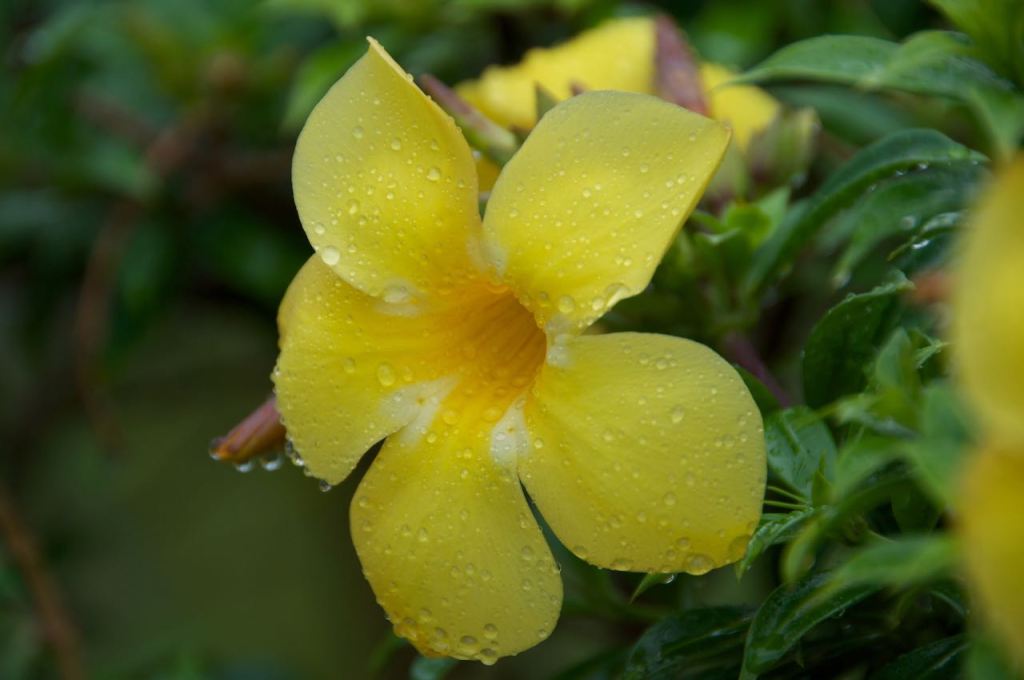 Das ist ze&nbsp;Invasion!