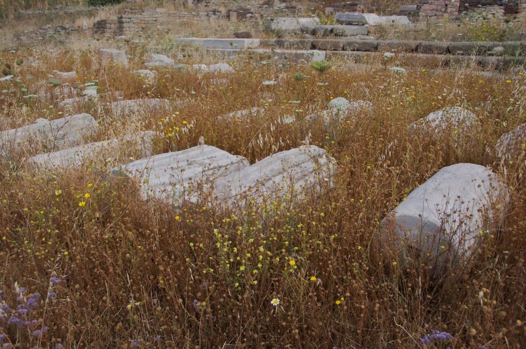 Are you Claritin&nbsp;clear?