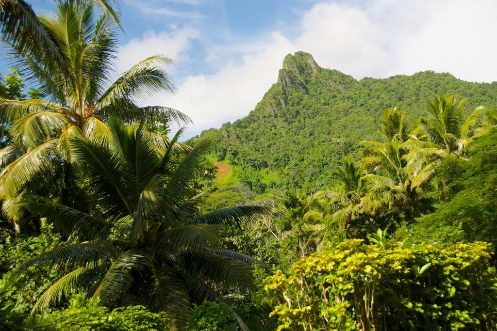 Last full day on Rarotonga . . . And the dogs know&nbsp;it
