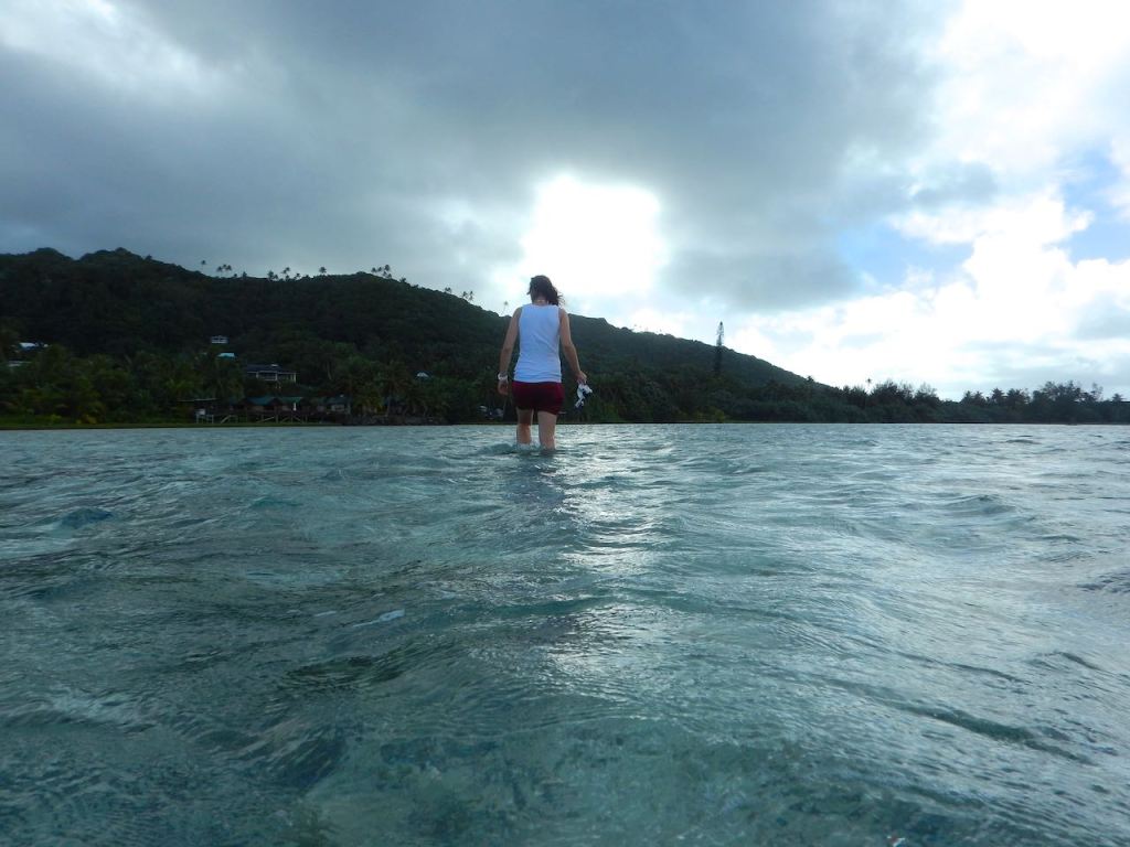 The adventuring continues