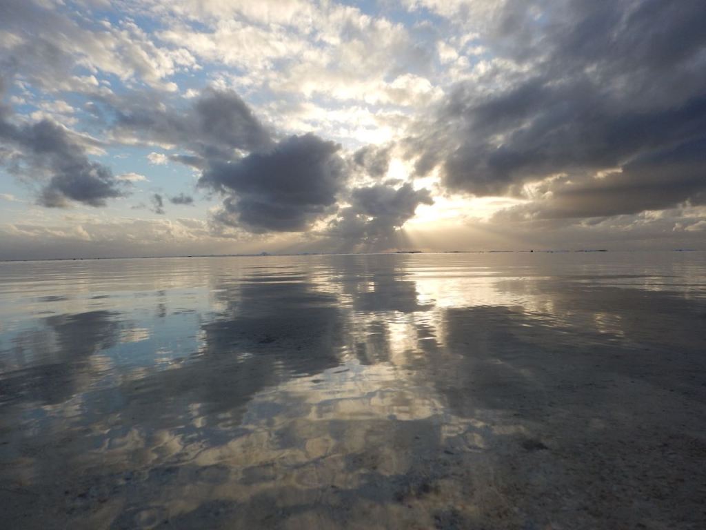 I wore buttons this evening…photographic proof&nbsp;below