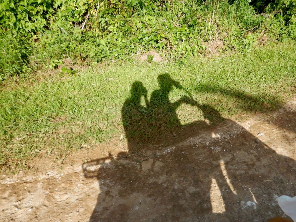 Cruising around the&nbsp;island