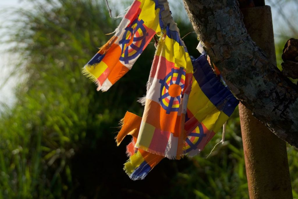 98 Acres Is The Place To&nbsp;Be