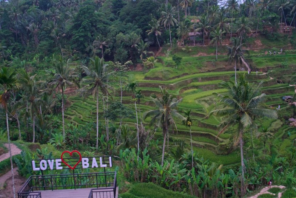 A Bit of Exploring Around&nbsp;Ubud
