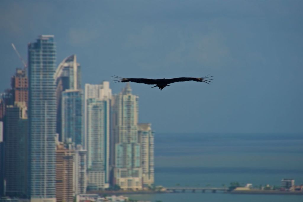 Ancon Hill and coming&nbsp;home