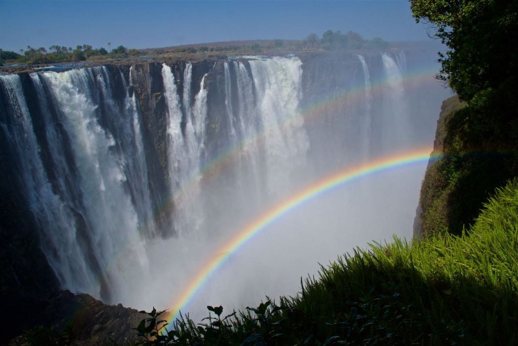 The World of&nbsp;Zim