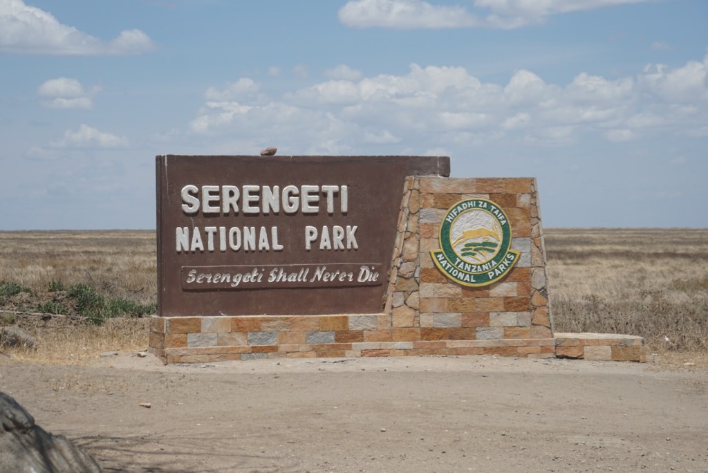 Into the Serengeti