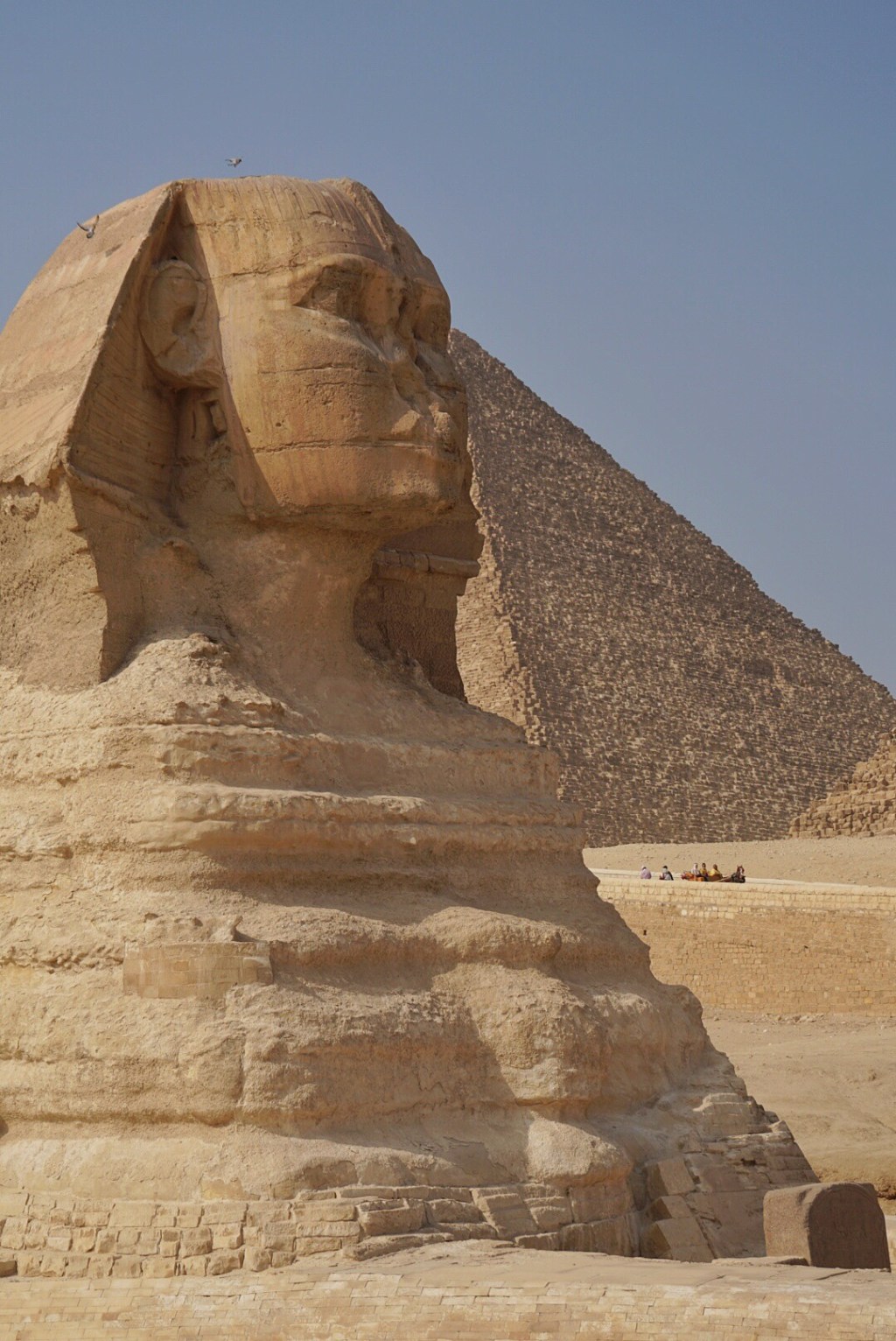 I Said No to Camels, Yes to&nbsp;Shawarma