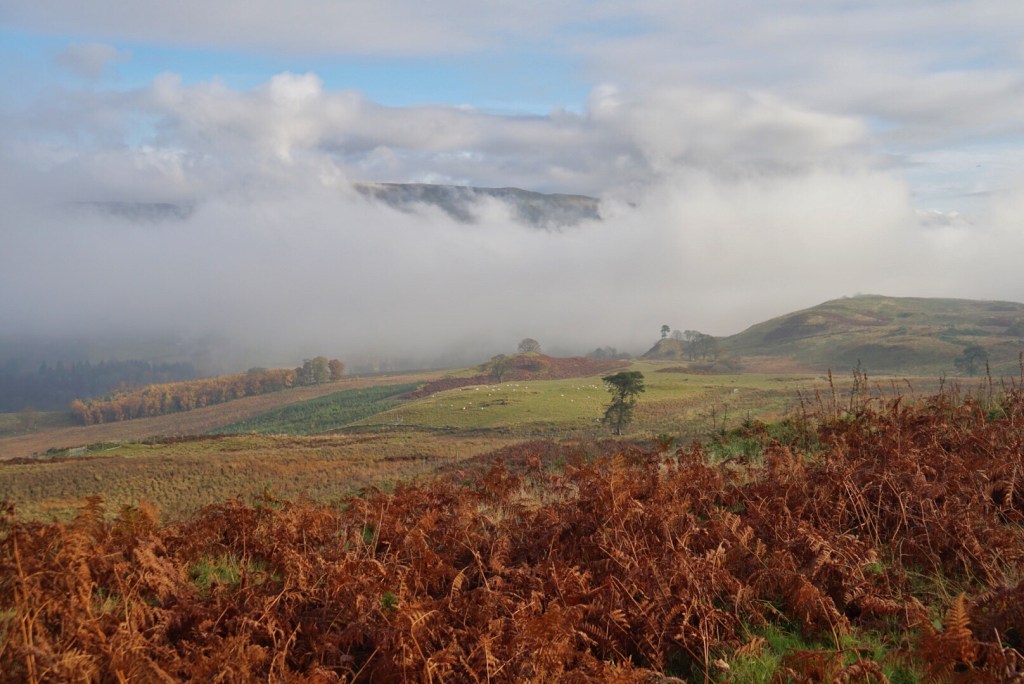 Sun’s Out, Bricole’s&nbsp;Out