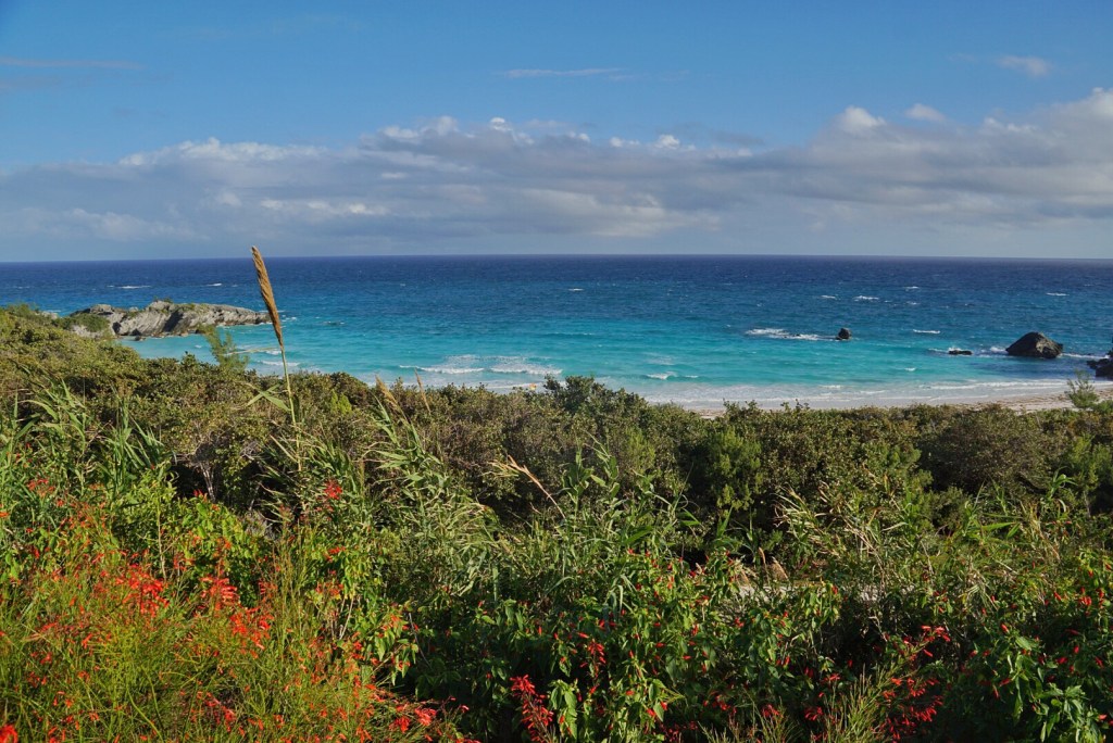 Two Wheels and “Cheap”&nbsp;Meals