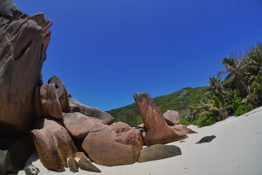 We Dig La&nbsp;Digue