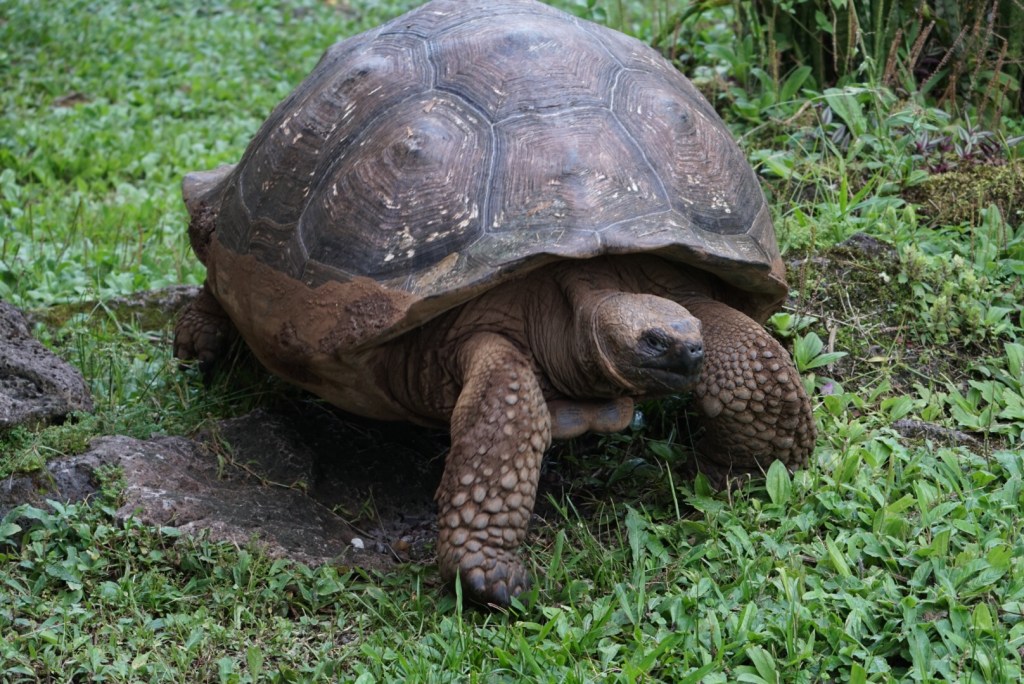 We finally made it! Yay for&nbsp;us!