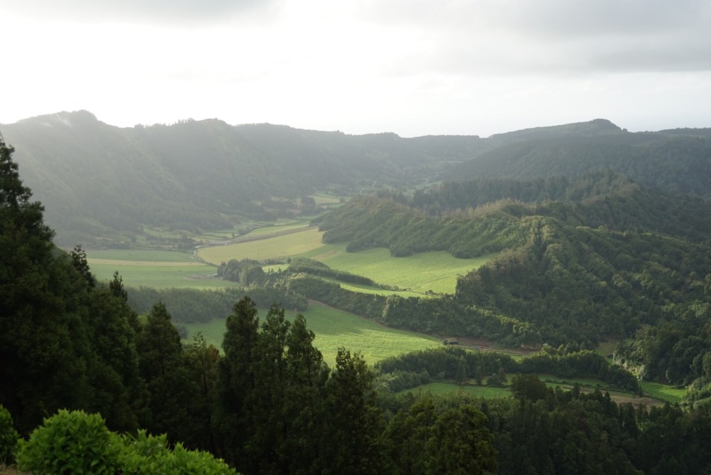 New Island, Same&nbsp;Country