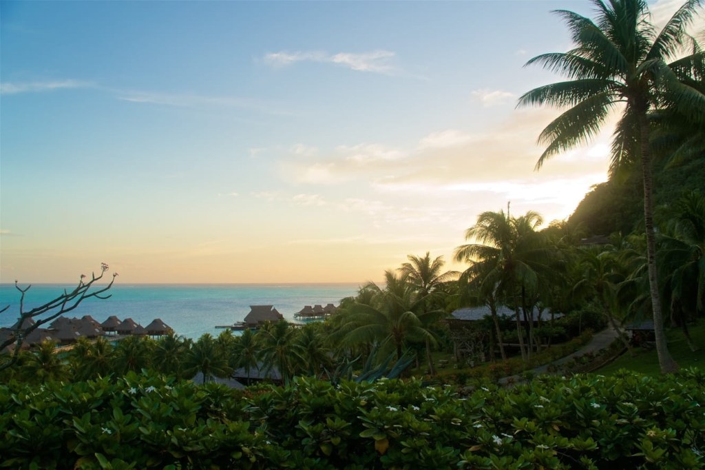 Social Distancing in the South&nbsp;Pacific