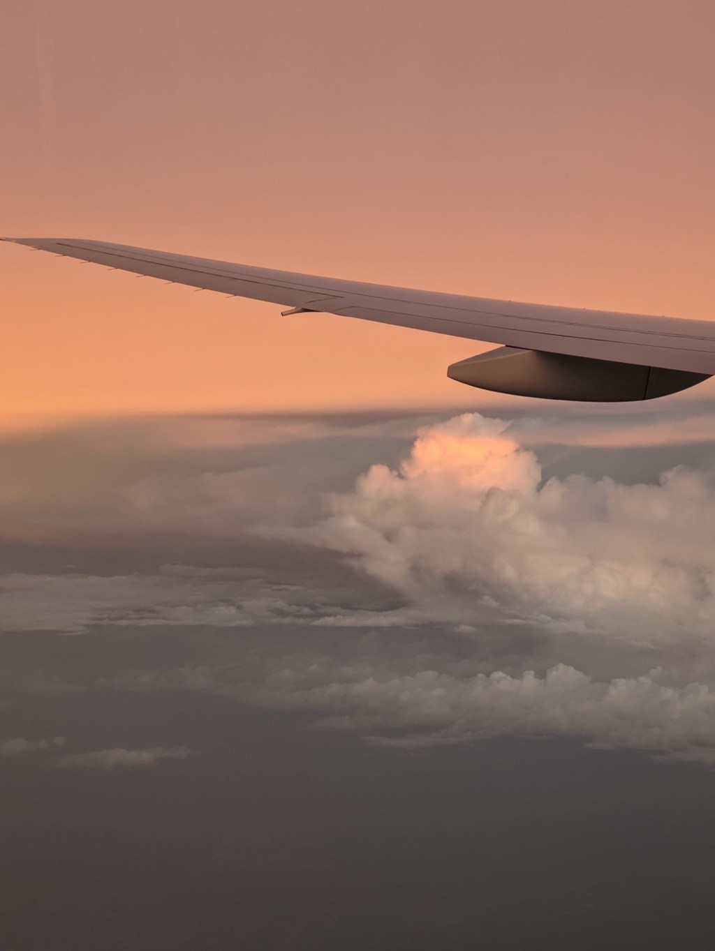 New Adventures Within the Confines of&nbsp;2020