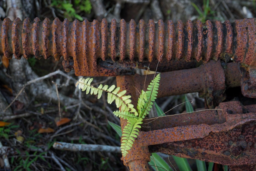 Last (Full) Day on&nbsp;Palau