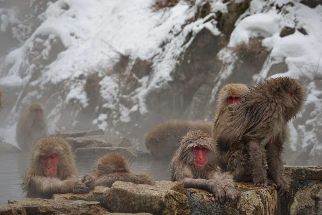 Winter Wonderland: Nagano&nbsp;Edition