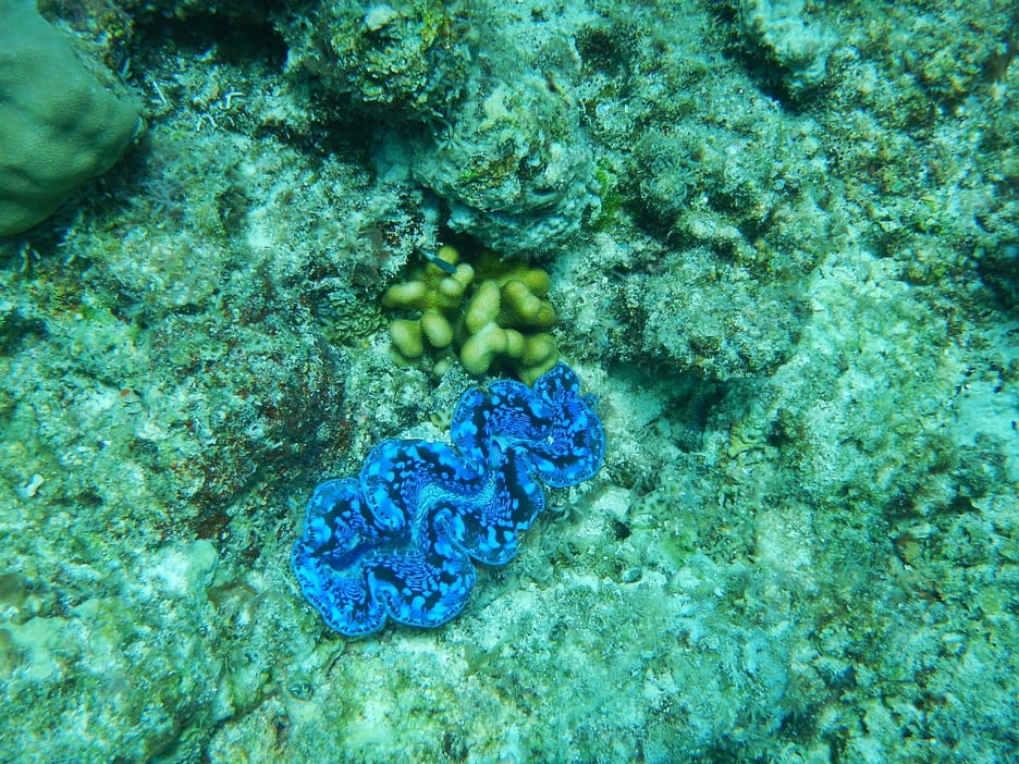 Rock Islands from the Surface . . .and&nbsp;Below