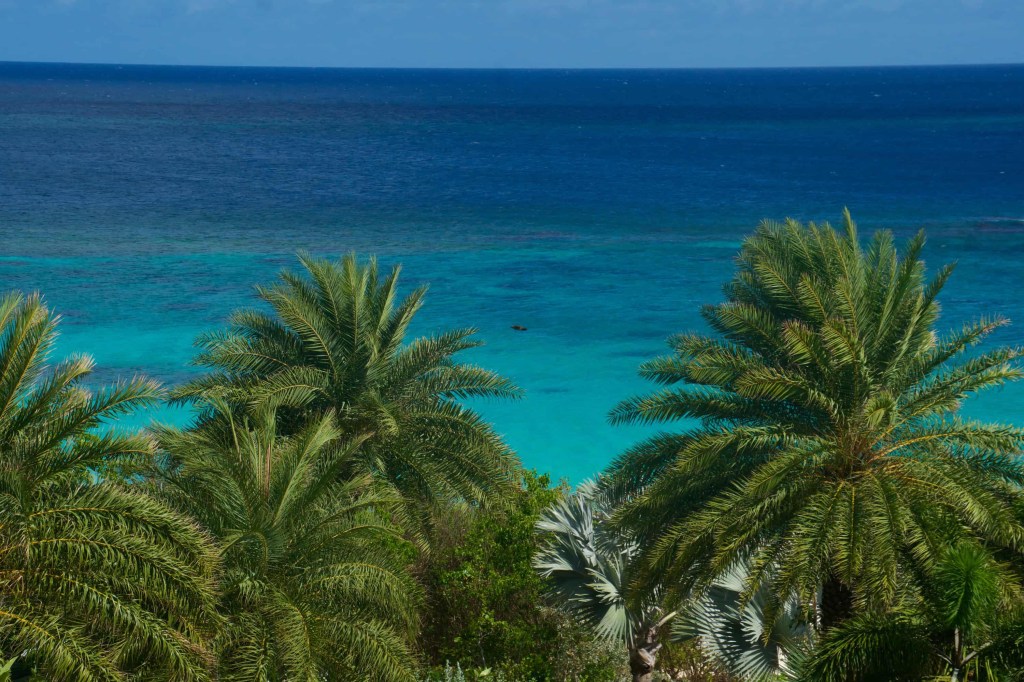 The Caribbean Paradox