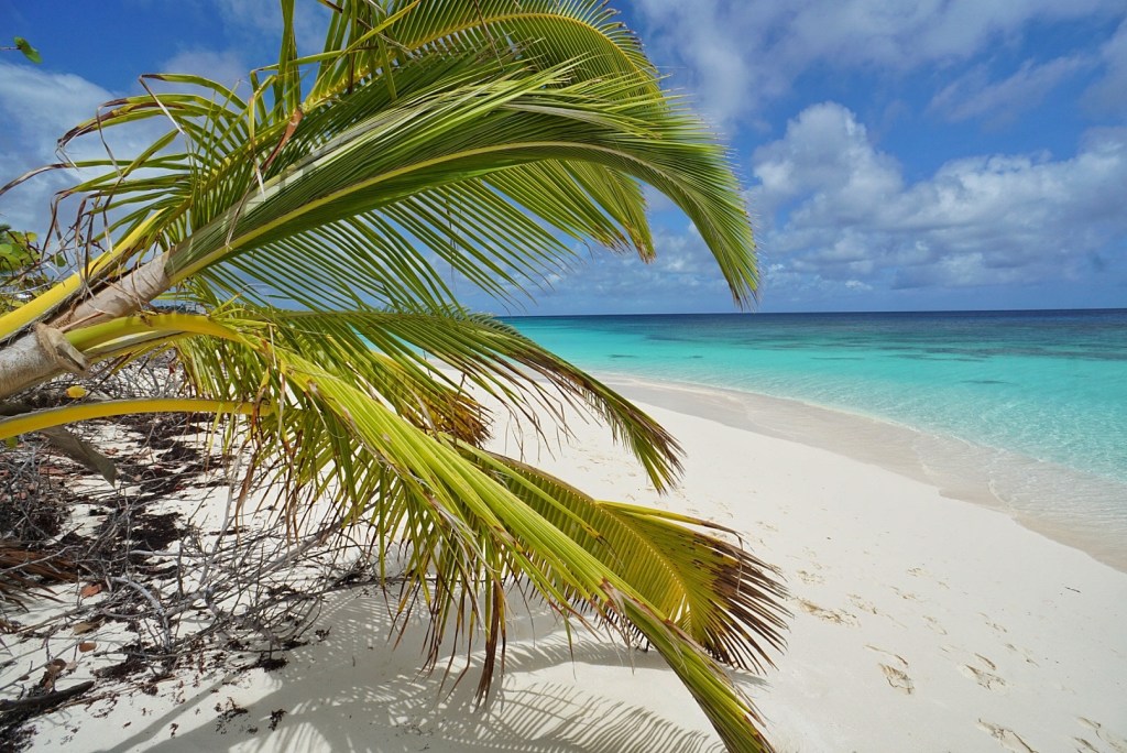 Last Full Day on&nbsp;Anguilla