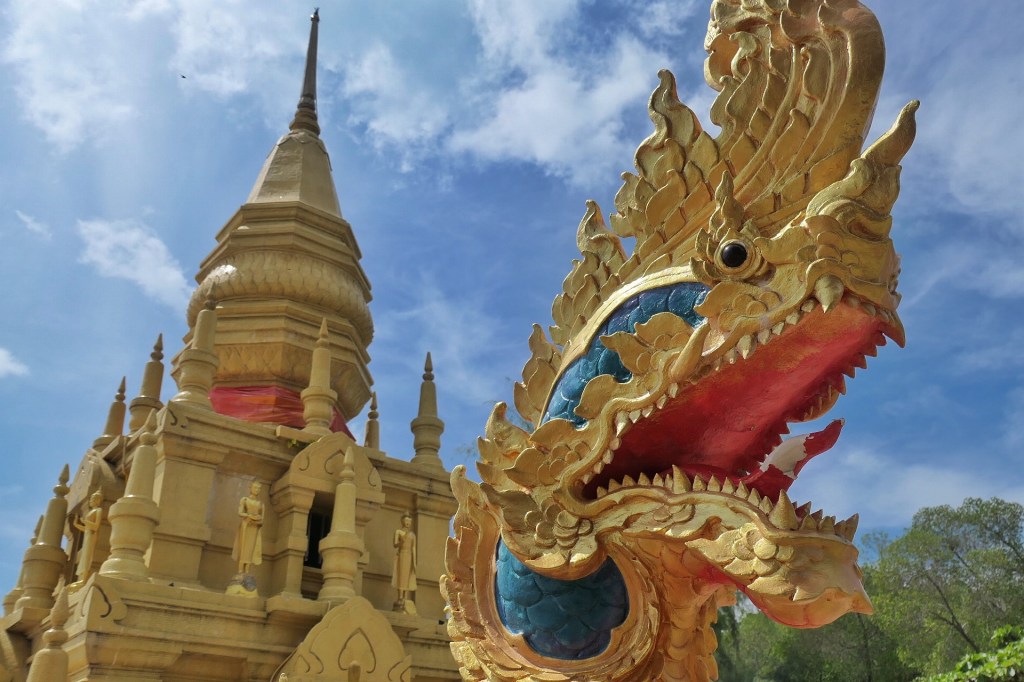 The World Outside the&nbsp;Conrad