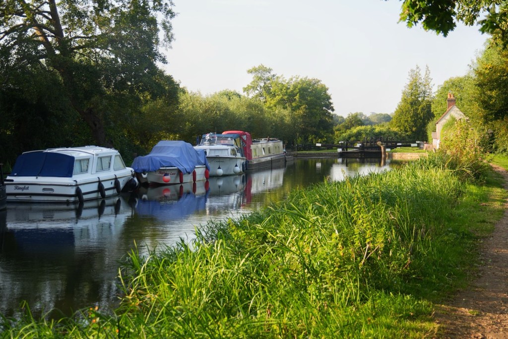 It’s Chewsday, ‘Innit?