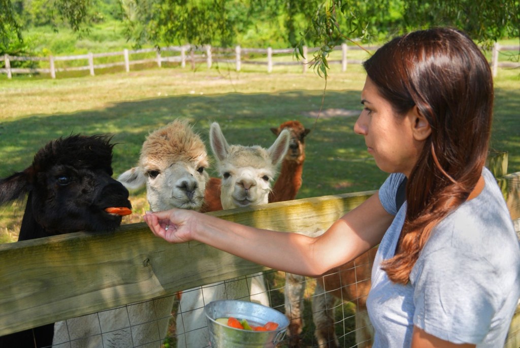 Last Day on the&nbsp;Farm