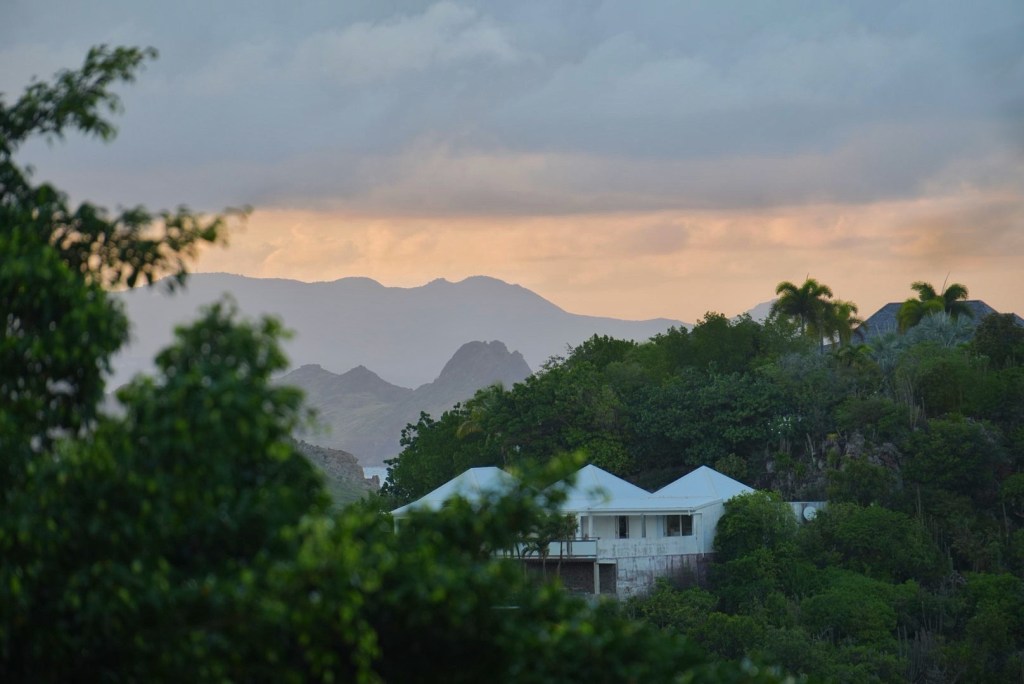 A Paddleboard, a Ferry, and Two Lil’&nbsp;Planes