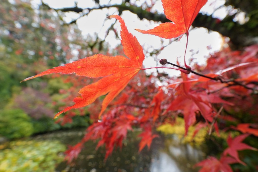 From Rainy Seattle to Rainy&nbsp;Victoria