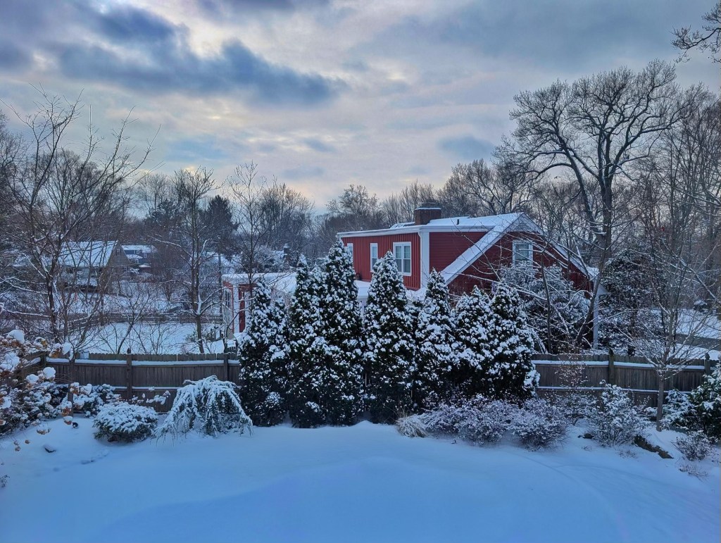 Winter Weather Weasels