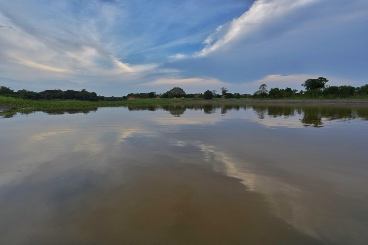 Mutiny in the&nbsp;Amazon